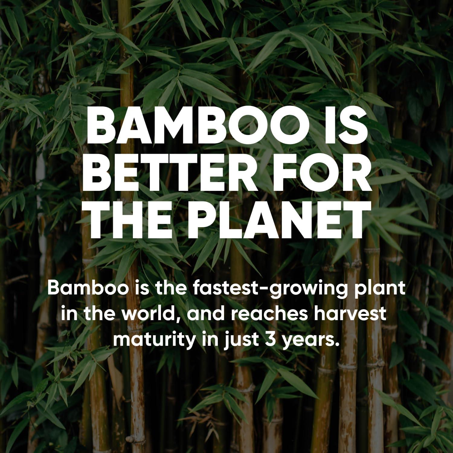 image:imageSave Trees Bamboo Toilet Paper 24 Rolls Of Septic Safe Organic Toilet Paper 3ply 300 Sheets Per Roll PFAs Free FSC Certified Plastic amp Chemical Free For Home Boat amp RV Use24